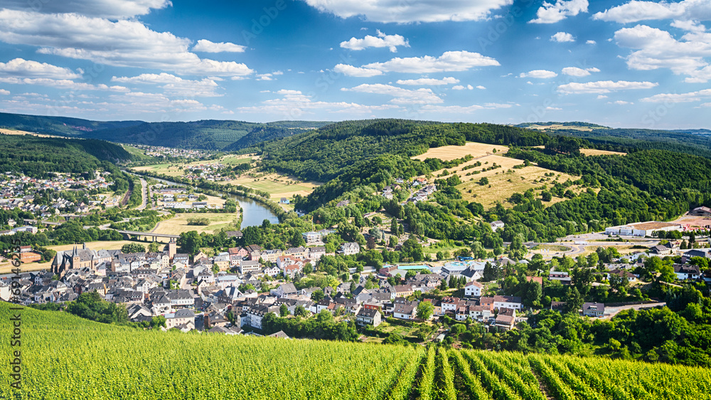 Vineyards and Mountains near Saarburg