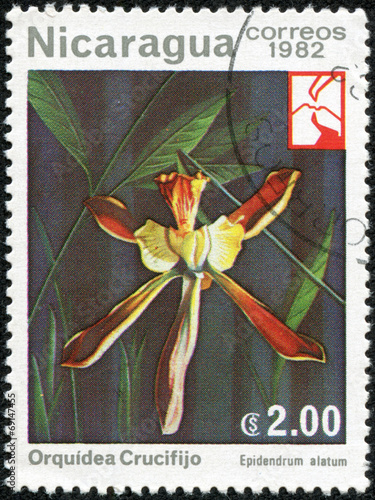 Stamp printed in NICARAGUA shows image of a Epidendrum alatum photo