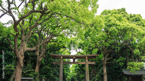 Torii (Entrance gate) and tree in temple area ,Japan