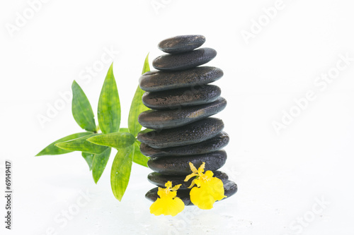 Black zen stones with Dancing Lady orchids