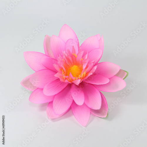 Beautiful lotus  Artificial flowers