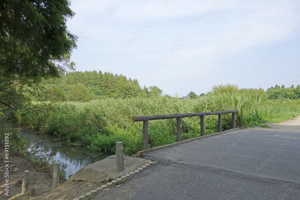 水元公園の風景 水元公園の風景