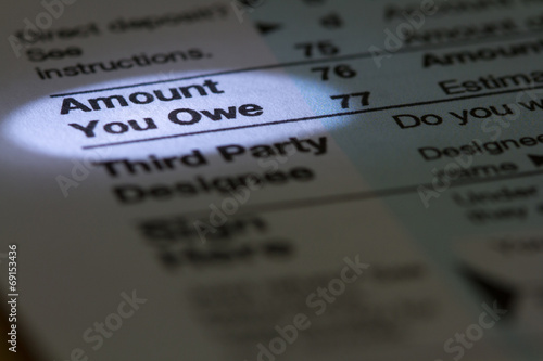 Εκτύπωση καμβά Amount You Owe