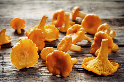 chanterelle mushrooms