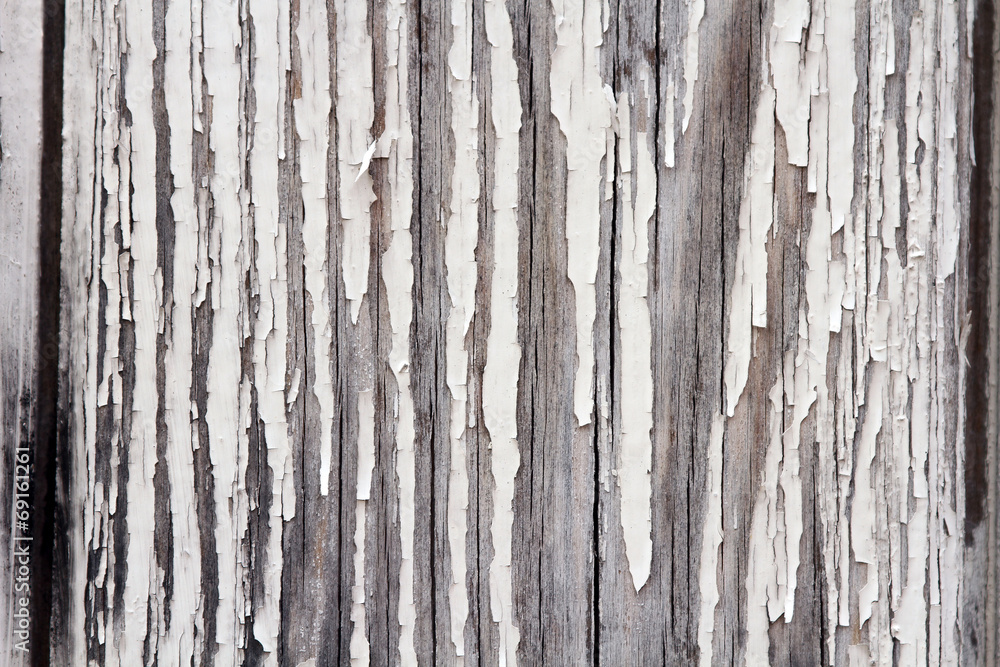 texture texture