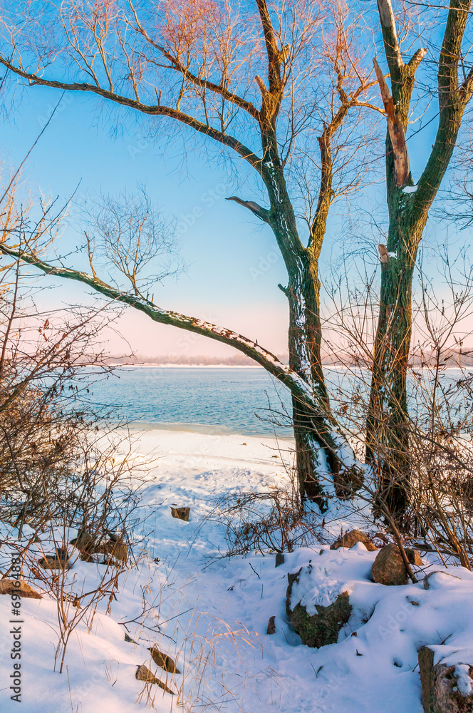A tree in the snow close to the Dnieper River in Kiev A tree in the snow close to the Dnieper River in Kiev