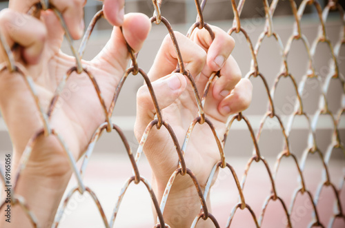 Hands with Mesh cage, Hands with steel mesh fence