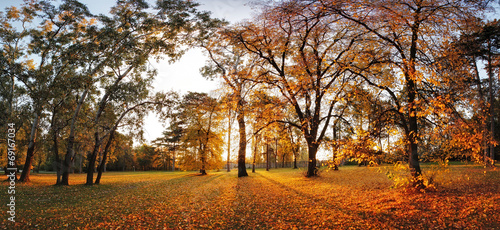 Autumn panorama in park #69167034