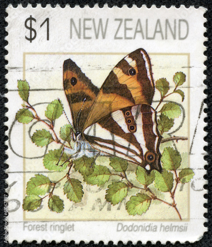 stamp printed in New Zealand shows Forest Ringlet butterfly photo