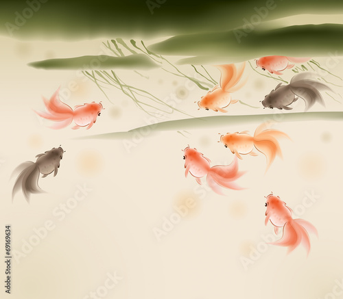 Goldfishes in lotus pond