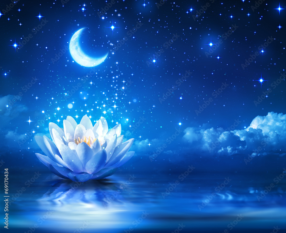 waterlily and moon in starry night - magic background - obrazy, fototapety, plakaty 