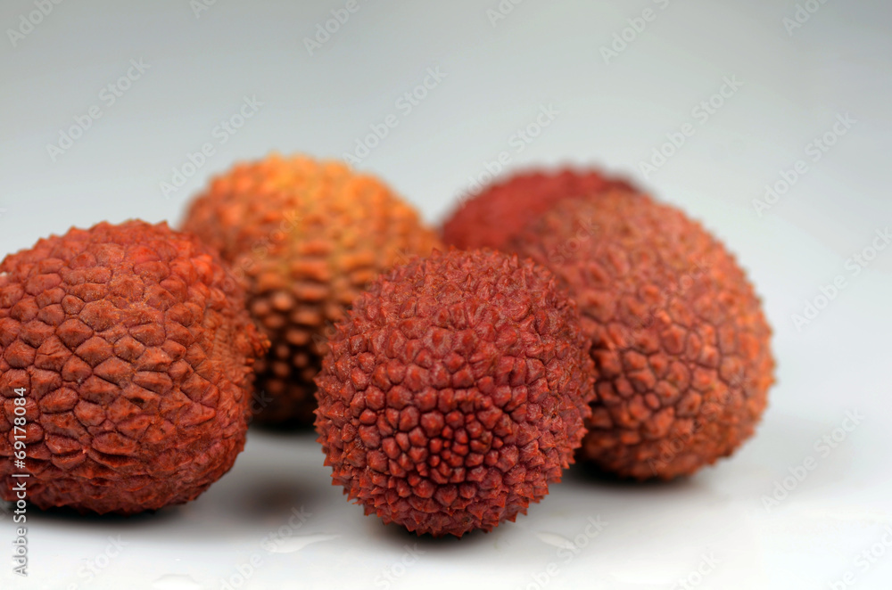 Litchi chinensis Litchi chinensis