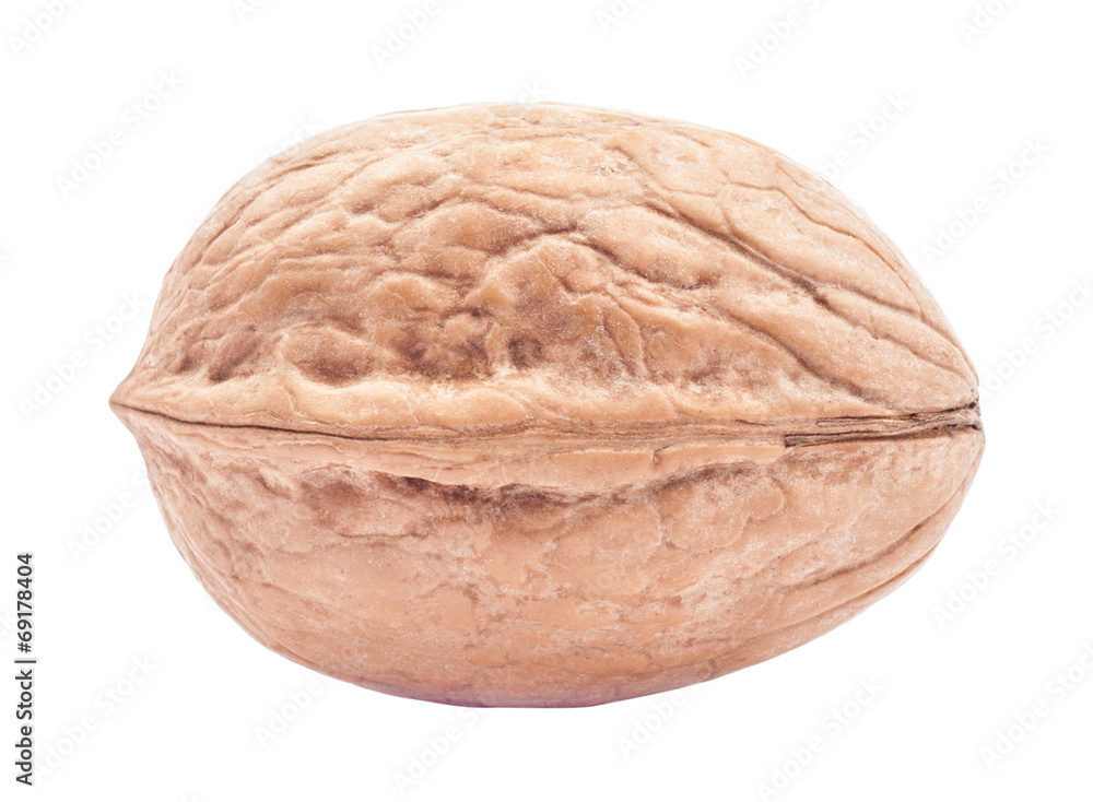 Single walnut isolated on white background Single walnut isolated on white background