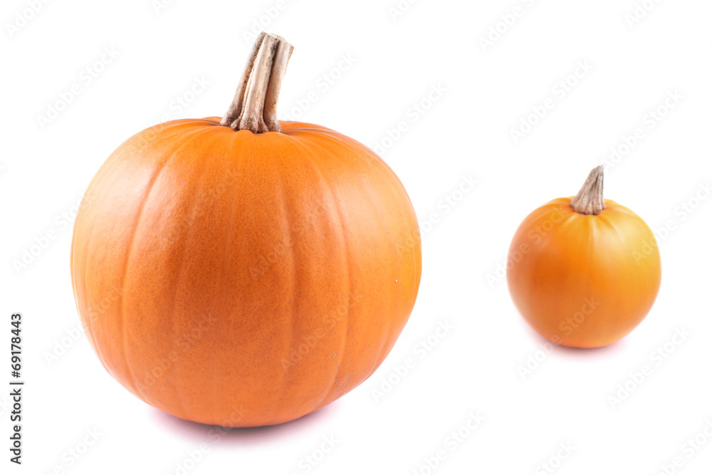 Pumpkin, oval on a white background Pumpkin, oval on a white background