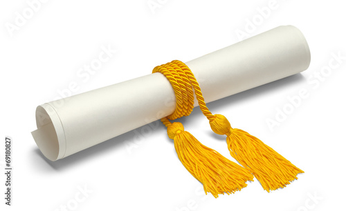 Degree With Honor Cords