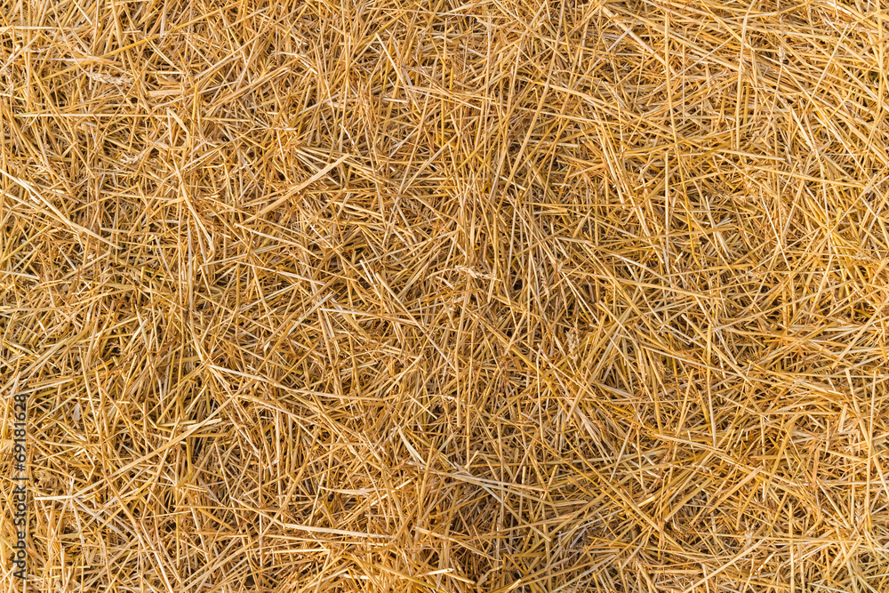 straw hay straw hay