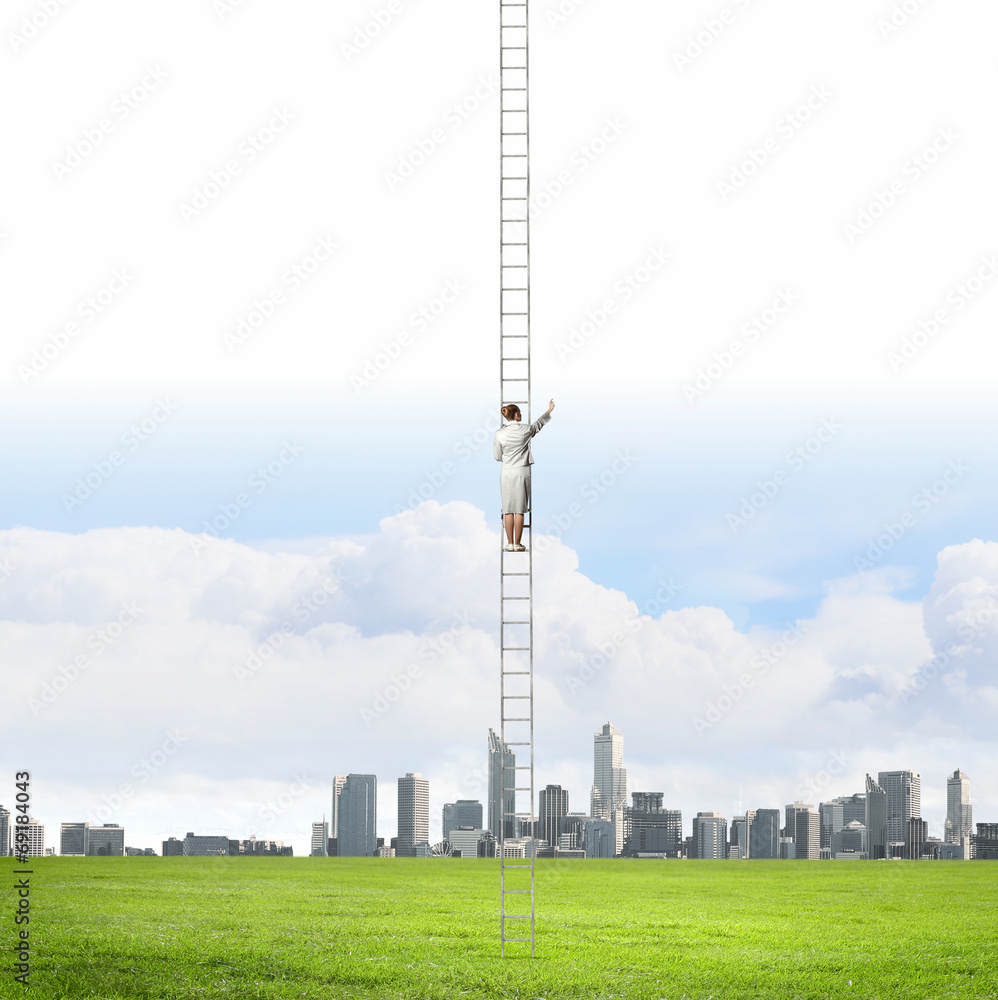 Obraz premium Ladder of success