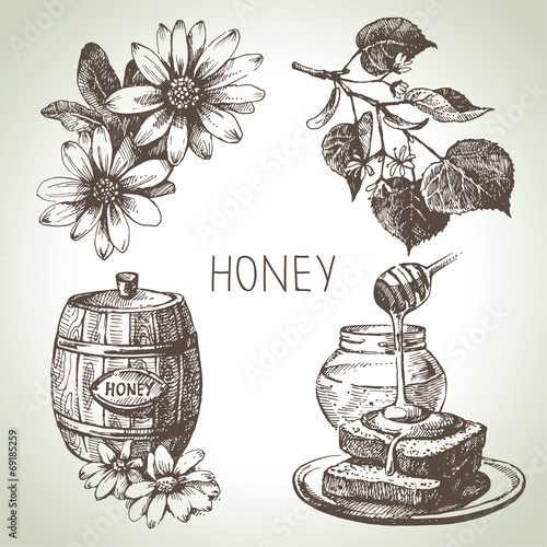 Honey set. Hand drawn vintage illustrations