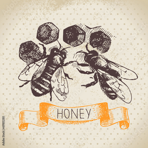 Honey background with hand drawn sketch illustration
