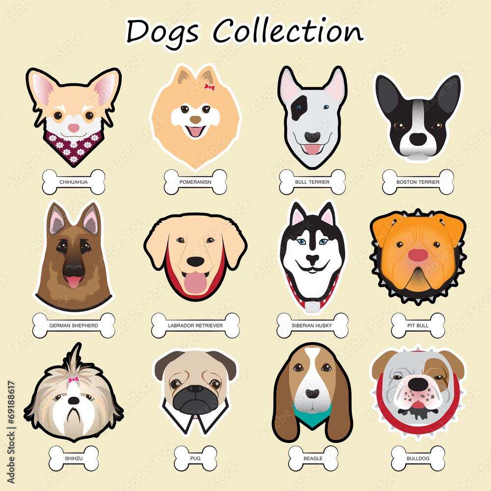 dogs collection,vector dogs collection,vector