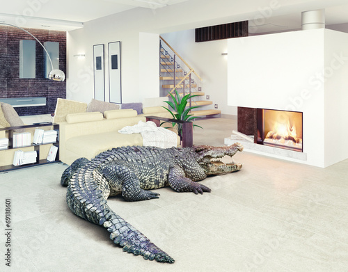 Carta da parati crocodile  in the luxury interior