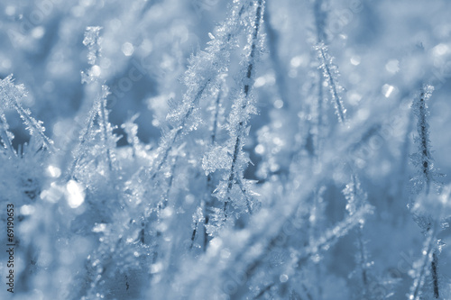 Dew drops close up in winter as background © martinlisner