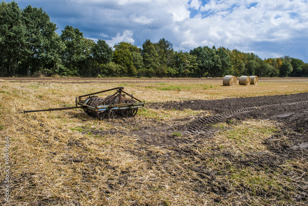 Arable Land