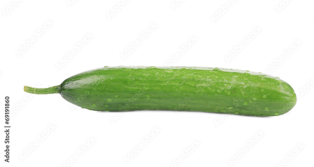 Fresh beautiful cucumber. Fresh beautiful cucumber.
