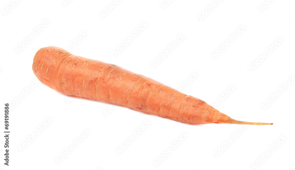 Fresh carrot. Fresh carrot.