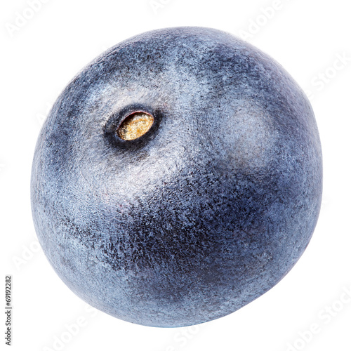 Blueberry berry isolated on white background with clipping path