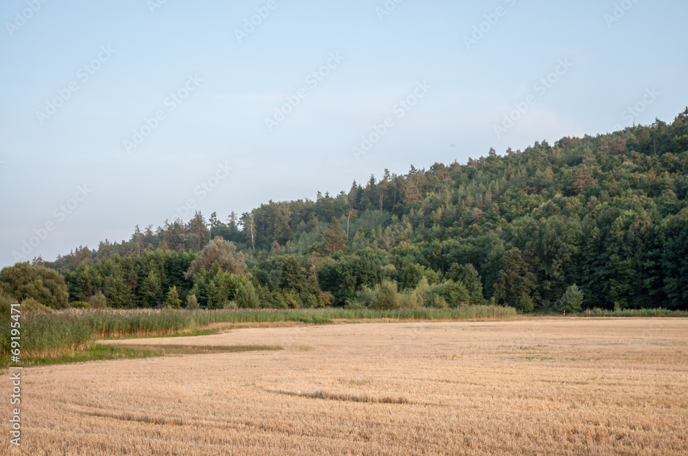 countryside landscape