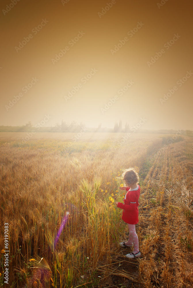 Sweet little girl playing in the wheat field. filtered image