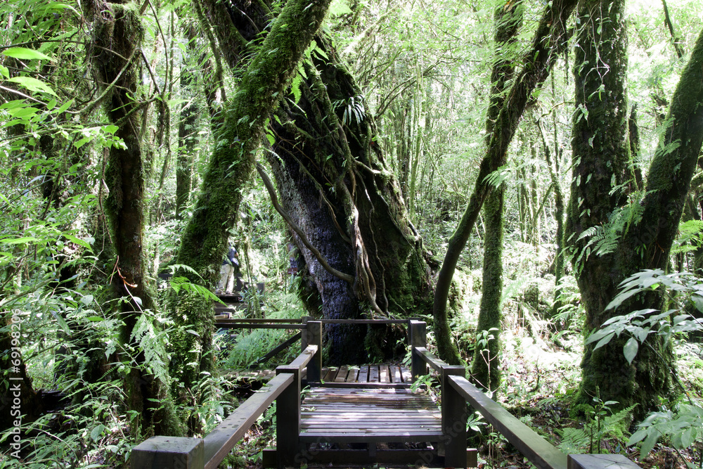 Doi Inthanon National Park Doi Inthanon National Park