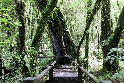 Doi Inthanon National Park