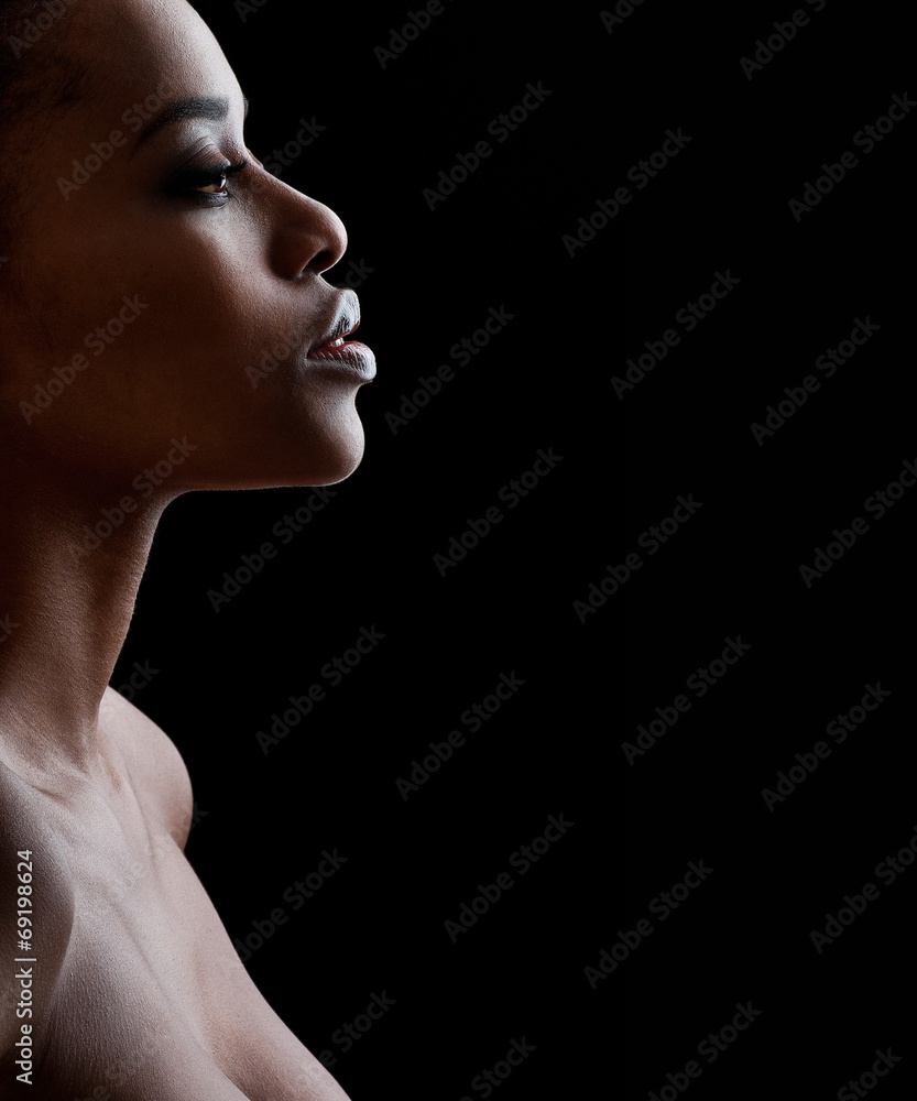 Beautiful African-American woman. Black Beauty Beautiful African-American woman. Black Beauty