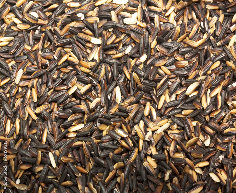 brown rice brown rice