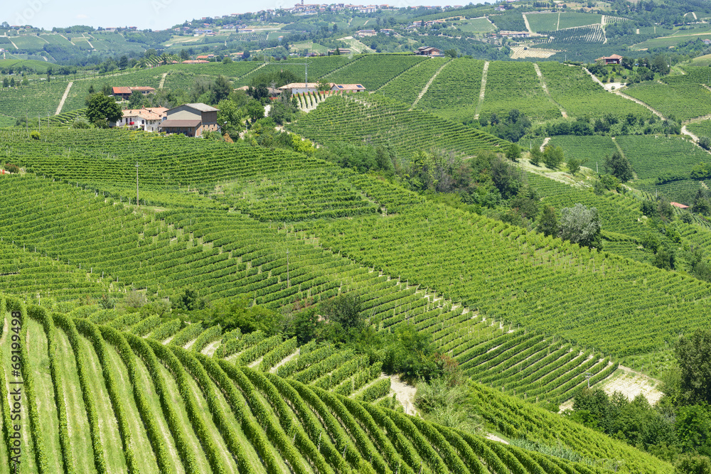 Summer landscape in Langhe (Italy) Summer landscape in Langhe (Italy)