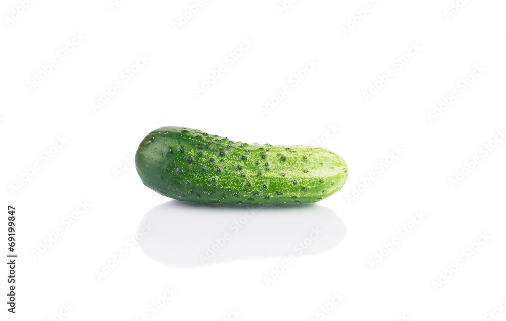 Close up of fresh cucumber. Close up of fresh cucumber.