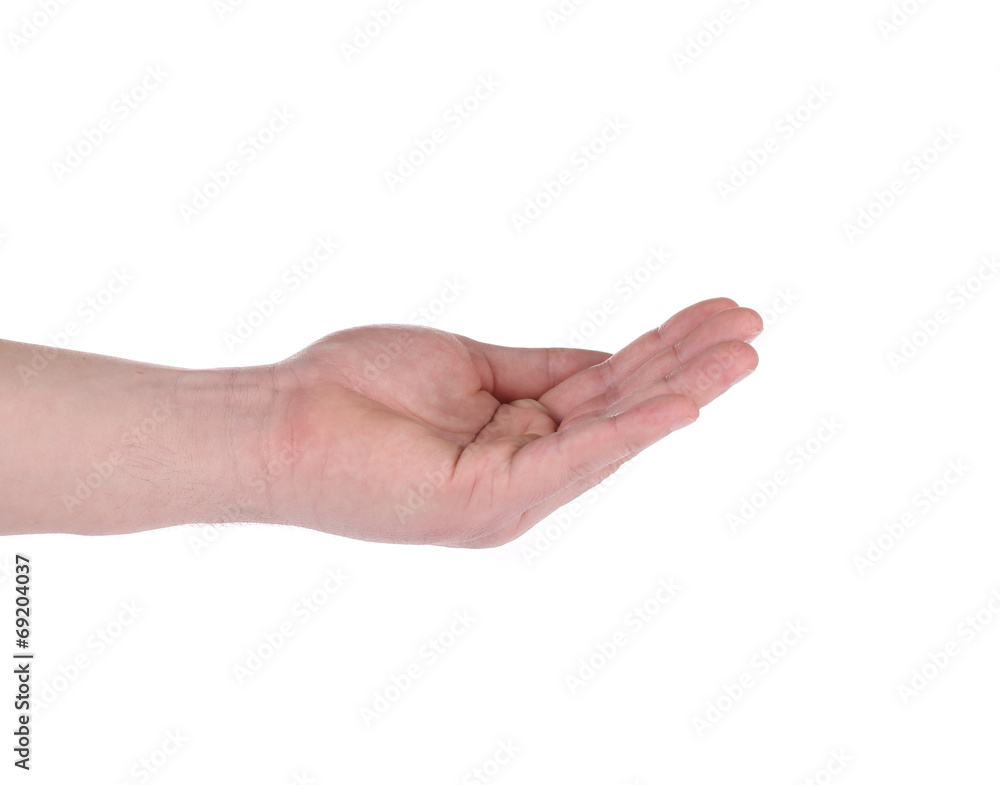 Open palm hand gesture of male hand.