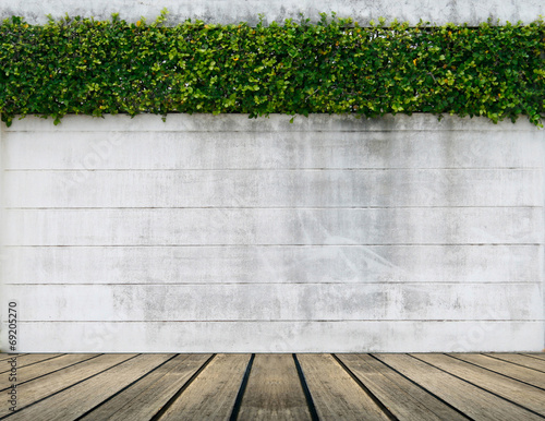 Foto green leaf plant over grunge wall background