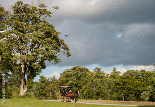 Photos jaunting car passing through Killarney national park