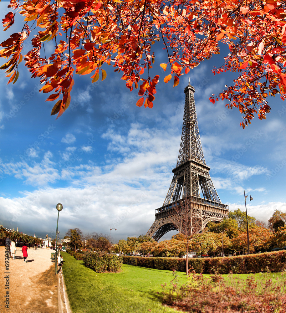Eiffel Tower with autumn leaves in Paris, France Eiffel Tower with autumn leaves in Paris, France