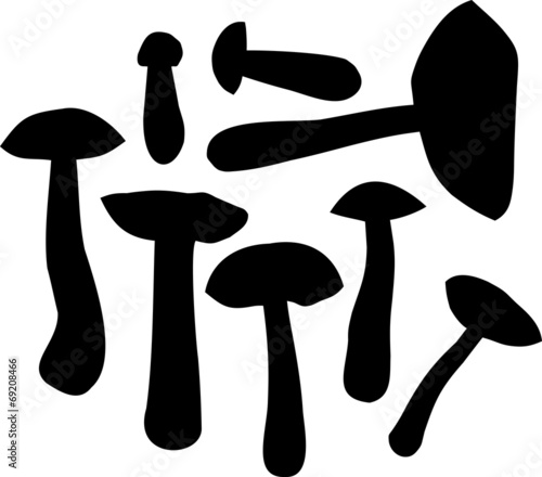 Silhouettes of birch bolete