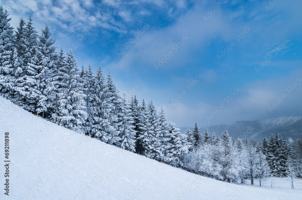 winter lanscape winter lanscape