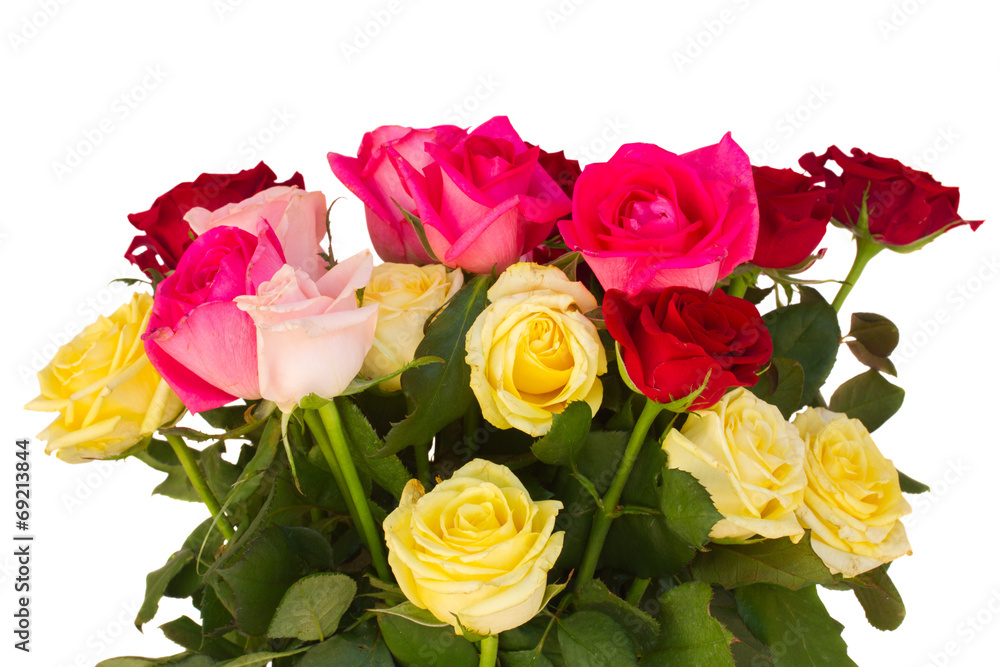 bouquet of fresh multicolored roses bouquet of fresh multicolored roses