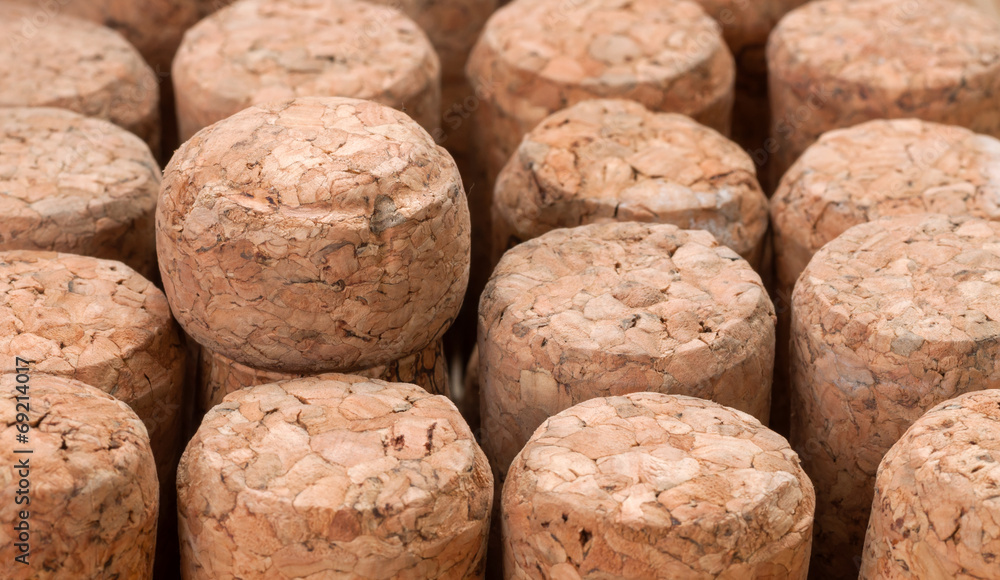 Cork from champagne Cork from champagne