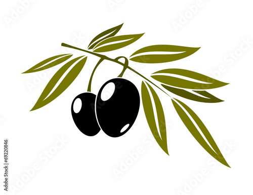 Black olives branch with leaf