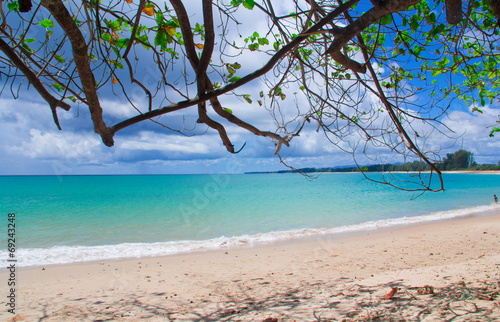 Fototapeta Naklejka Na Ścianę i Meble -  Nai Yang Beach blue cloundy sky with old tree  Phuket,Thailand,