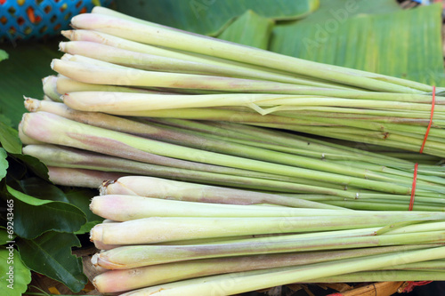 Close up of lemon grass