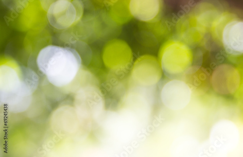 Natural green blured background with bokeh
